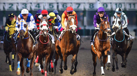 İstanbul Yarış Festivali heyecanı Veliefendi’de yaşanacak