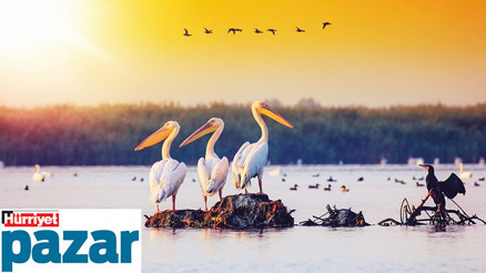 Tam bu mevsimde görmeli