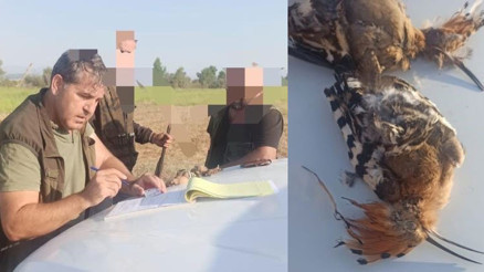 Antalyada kaçak avcılık yapanlara ceza yağdı