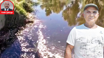 1 hafta arayla aynı katliam... Bu seri katillere dur diyen yok mu