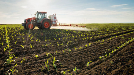 Gübrede grev etkisi fiyatlara yansıyor
