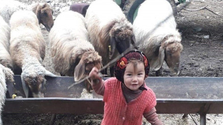 Türkiyede infial yaratmıştı Müslüme Yağal cinayetinde yeni gelişme: Cumhuriyet savcısının mütalaası beklenecek