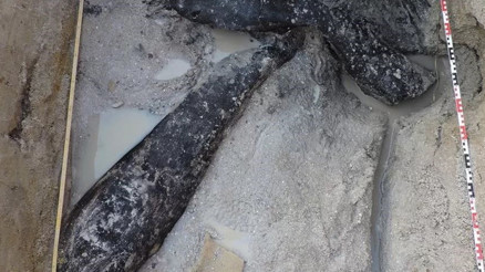 Zambiyada heyecanlandıran keşif: 500 bin yıllık ahşap yapı bulundu