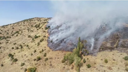 Sivasta otluk ve ağaçlık alanda yangın