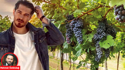 5 bin şişe yıllanmaya bırakıldı