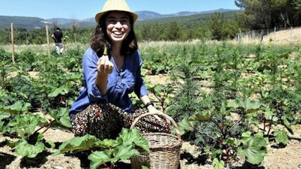 Bornova’nın kınalı bamyası yeniden sofralarda