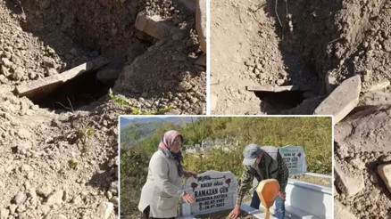 Bartında mezarlıkta ayı paniği... Mezarın açıldığını görünce orada yığıldım