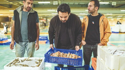 Hamsinin tavası, uskumrunun ızgarası...