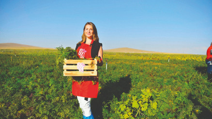 Gastronomi kazanında kaynayanlar