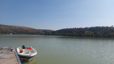 Eymir Gölü’nde Sazan etkisi