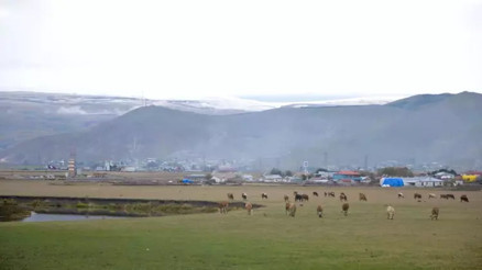 Ardahan’ın yükseklerinde kar yağışı