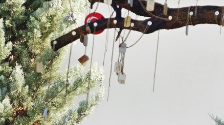 ‘Şehitler Ağacı’ndaki künye hırsızlığı cezasız kalmadı