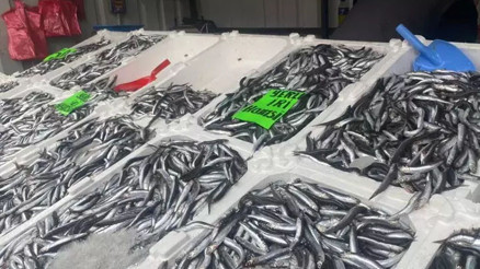 Fiyatlar düşüşe geçti, vatandaş balığa yöneldi