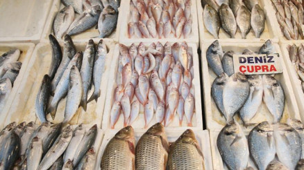 Balık fiyatları dip seviyelere düştü