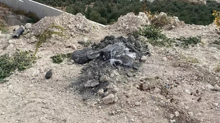 İzmirde kimyasal atık şüphesine inceleme