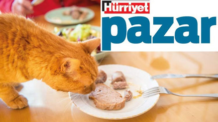 Kırmadan kırılmadan, tüylere bulanmadan…