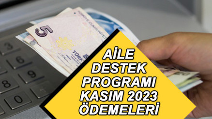 AİLE DESTEK ÖDEMESİ E-DEVLET TAKİP EKRANI: Kasım ayı Aile Destek Programı ödemeleri yattı mı, ne zaman yatacak Aile Destek Programı ödemeleri hangi gün hesaplara geçecek
