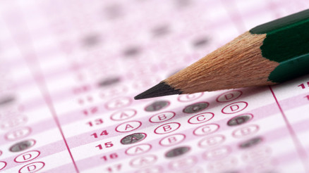 VGM Yükseköğrenim burs sonuçları ne zaman açıklanacak İşte, VGM üniversite burs sonucu için dikkat çeken tarih…