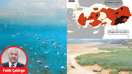 En sonunda kuşlar gitti... Kapımızdaki tehlike