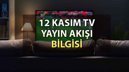 TV yayın akışı 12 Kasım Pazar: Bugün hangi diziler var İşte, Kanal D, Show TV, ATV, Star TV, TRT1, Fox ve TV8 yayın akışı
