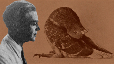 Her şey 1772deki o keşifle başladı... Vitamin kelimesinin anlamı ne Neden E vitamininden sonra K vitamini geliyor