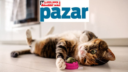 ‘Hay sen  çok yaşa e mi’