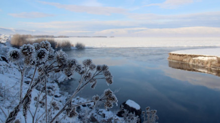 Ardahanda Kuru Nehrinin yüzeyi buz tuttu