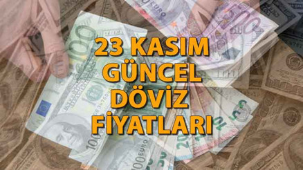 Dolar ve Euro ne kadar, kaç TL oldu 23 Kasım Perşembe  Faiz kararı sonrası güncel döviz kuru (canlı)