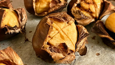 Kabuklarını çöpe atıyorsunuz ama... Kelliğe karşı saç ektirme etkisi yaratıyor Kabuklarını çöpe atıyorsunuz ama... Kelliğe karşı saç ektirme etkisi yaratıyor