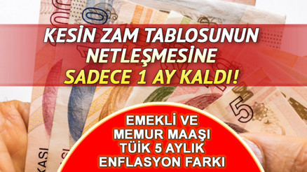 TÜİK KASIM AYI ENFLASYON FARKI 2023: 5 aylık enflasyon farkı yüzde kaç oldu 2024 Ocak zammı ile asgari ücret, memur ve emekli maaşı ne kadar, yüzde kaç artacak Kesin rakamların belli olmasına sadece 1 ay kaldı TÜİK KASIM AYI ENFLASYON FARKI 2023: 5 aylık enflasyon farkı yüzde kaç oldu 2024 Ocak zammı ile asgari ücret, memur ve emekli maaşı ne kadar, yüzde kaç artacak Kesin rakamların belli olmasına sadece 1 ay kaldı
