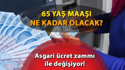 65 YAŞ MAAŞI NE KADAR OLACAK 2024 Yaşlılık maaşı % kaç zamlanacak, kaç TL’ye yükselecek Tek tek hesaplandı