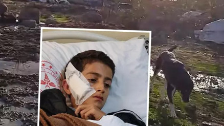 Diyarbakırda sokak köpeğinin ısırdığı Veyseli, komşuları kurtardı