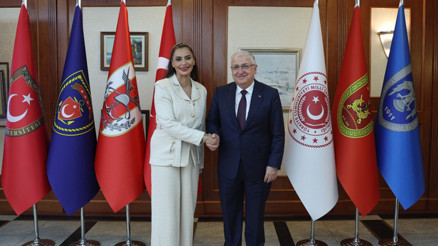 Bakan Gülerden yıllık değerlendirme toplantısı: 2 bin 84 terörist etkisiz hale getirildi, 199 bin 898 kaçak geçiş engellendi