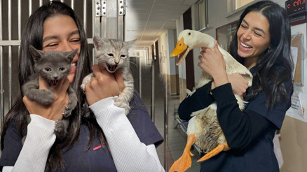 Ünlü oyuncu setlere ara verdi... Mesleğine geri döndü