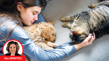 Evdeki dostların tedavi hakkı