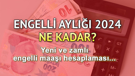 ENGELLİ MAAŞI NE KADAR OLDU 2024 | Zamlı engelli aylığı yüzde kaç arttı, kaç TL oldu İşte yeni zamlı maaş ile tutar bilgisi...