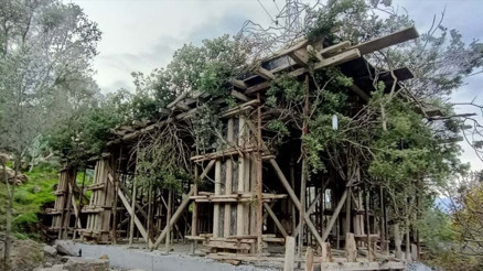 Ağaç dallarıyla kapattı Fark edilince cezadan kurtulamadı