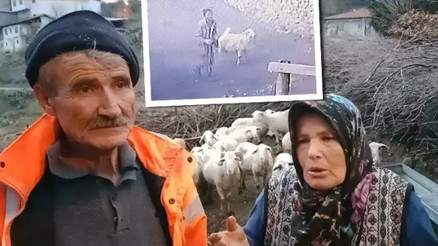 Balıkesirde ağıla girip koyunlara işkence yaptı Görüntüleri izleyince dehşete düştüler