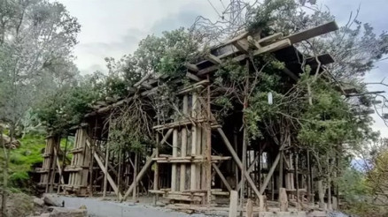 Bodrumda ağaç dallarıyla gizlenmiş kaçak yapıya yasal işlem