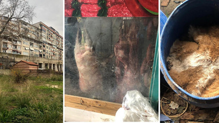 Bursada rezalet görüntü İnsan sağlığını hiçe saydılar