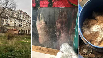 Bursada rezalet görüntü İnsan sağlığını hiçe saydılar