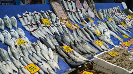 Balık fiyatları yükseldi