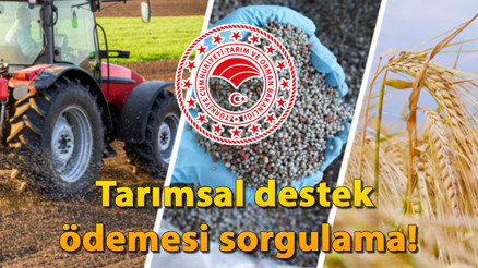 TARIMSAL DESTEK ÖDEMESİ YATTI MI, NEREDEN SORGULANIR Hububat, bakalagil, dane mısır desteği ödeme takvimi belli oldu TARIMSAL DESTEK ÖDEMESİ YATTI MI, NEREDEN SORGULANIR Hububat, bakalagil, dane mısır desteği ödeme takvimi belli oldu