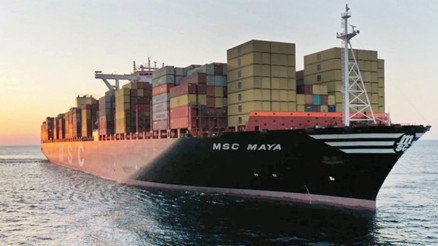 Kızıldeniz bereketi