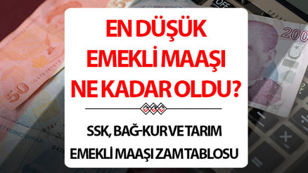 EMEKLİ MAAŞ ZAMMI 2024 HESAPLAMA TABLOSU (YENİ MAAŞLAR) |  TBMMde kabul edildi 7.500 TL alan emekli maaşı ne kadara çıktı Yüzde 49,25lik zamla SSK, Bağkur emekli maaşları ne kadar oldu  İşte kalem kalem yeni emekli maaşları