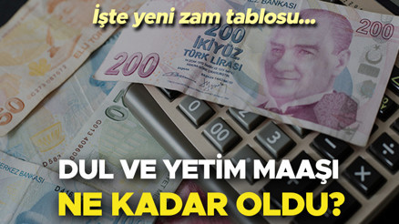DUL VE YETİM MAAŞ 2024 HESAPLAMA TABLOSU (Yeni tutarlar) Emekli zammı sonrası değişti Ocak 2024 yeni dul ve yetim aylığı kaç TL oldu, yüzde kaç zam yapıldı