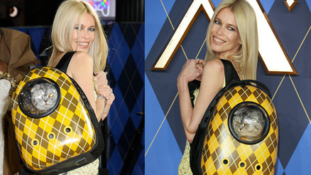 Herkes ünlü oyuncuları bırakıp onu izledi: Ünlü model kırmızı halıda kedisiyle şov yaptı Herkes ünlü oyuncuları bırakıp onu izledi: Ünlü model kırmızı halıda kedisiyle şov yaptı