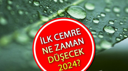 CEMRE NE ZAMAN DÜŞECEK, 1. CEMRE DÜŞTÜ MÜ 2024 Cemre havaya, suya, toprağa ne zaman düşer İşte 2024 cemre düşme tarihleri