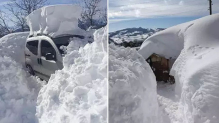 Artvin Şavşatta son 20 yılın kar rekoru Artvin Şavşatta son 20 yılın kar rekoru
