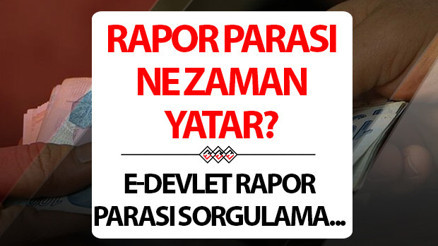 Rapor ücreti ne zaman yatar 2026 E-Devlet rapor parası sorgulama ekranı